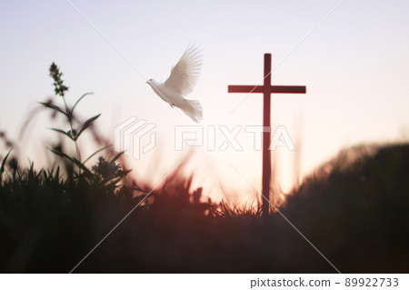 The sunset forest white dove and the holy cross of Jesus Christ symbolize death and resurrection love. The sunset forest white dove and the holy cross of Jesus Christ symbolize death and resurrection love. 89922733