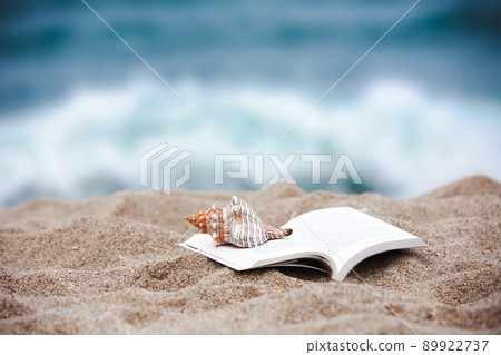 涼爽的夏日海灘景觀，一本書上有海濱沙子、海螺和藍波 89922737