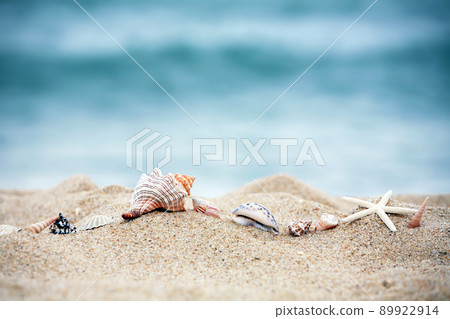 夏日大海和藍色海灘景觀，沙灘上的海星、海螺和貝殼 89922914