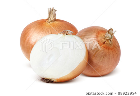 Onion onion illustration real set 89922954