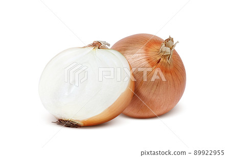 Onion onion illustration real set 89922955
