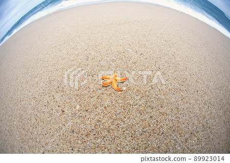 Orange starfish and blue waves on the beach sand and summer sea and beach landscape 89923014
