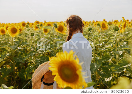 Woman in white dress with pigtails in a field of sunflowers nature countryside 89923630