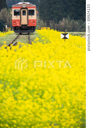 春天的風景:伊海鐵道列車和油菜花的壯麗景色 春天的風景:伊海鐵道列車和油菜花的壯麗景色 89924133