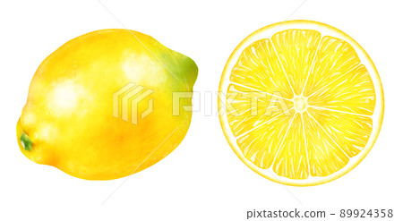 Watercolor illustration lemon Watercolor illustration lemon 89924358