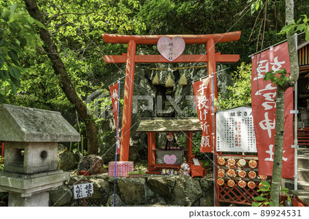 Tokushima Meishan Tenjin Shrine Himemiya Shrine Tokushima City, Tokushima Prefecture Tokushima Meishan Tenjin Shrine Himemiya Shrine Tokushima City, Tokushima Prefecture 89924531