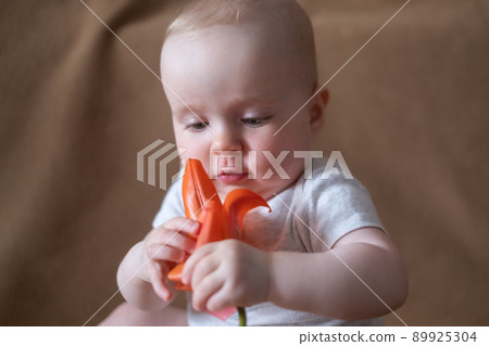 caucasian baby girl playing with a flower on a brown background. 89925304