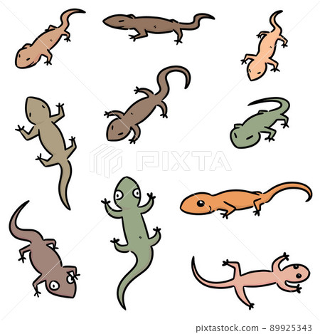 vector set of lizards 89925343