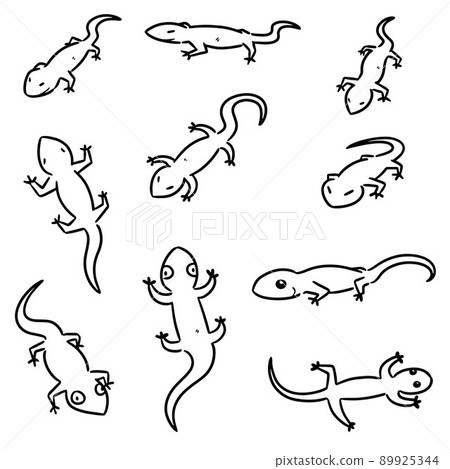 vector set of lizards 89925344
