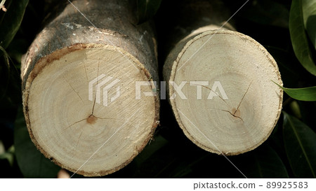 background image of wood 2 circles background image of wood 2 circles 89925583