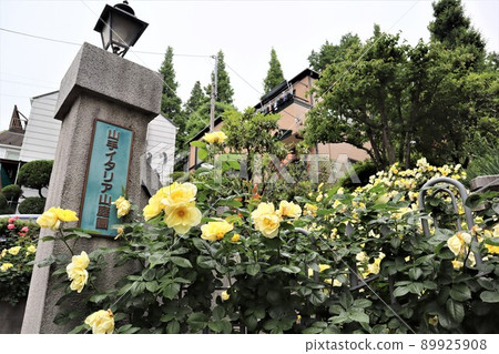 擁有美麗玫瑰的“山手意大利花園” 89925908