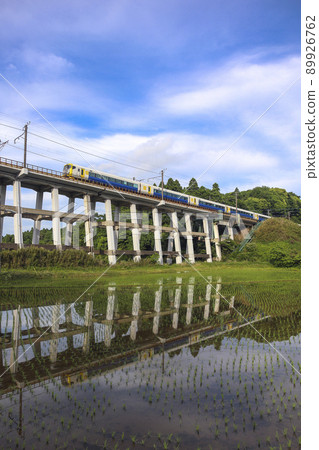 稻田映照的水鏡索托波線 稻田映照的水鏡索托波線 89926762