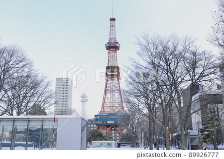 札幌大通公園和電視塔冬季 札幌大通公園和電視塔冬季 89926777