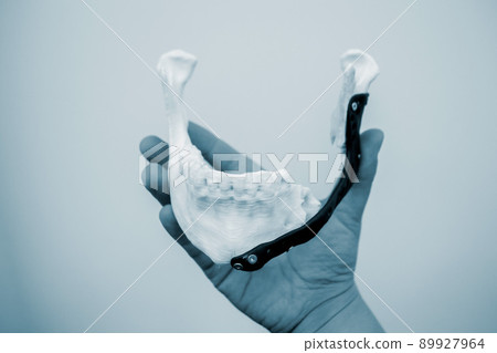 Person holding in hand facial mandibular endoprosthese printed on metal 3D printer from bionert titanium alloy close-up. 3D model bionic implants for maxillofacial Surgery. Lower jaw facial prostheses 89927964