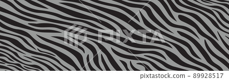 Panoramic texture zebra skin set of chaotic lines - Vector 89928517