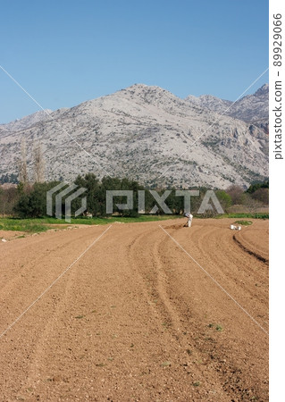 Farming Farming 89929066