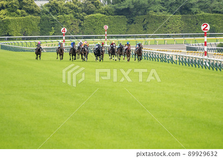 Racetrack scenery straight line 89929632