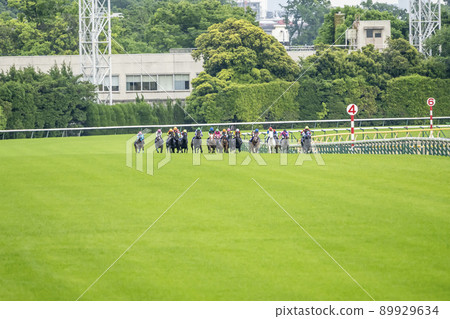 Racetrack scenery straight line Racetrack scenery straight line 89929634