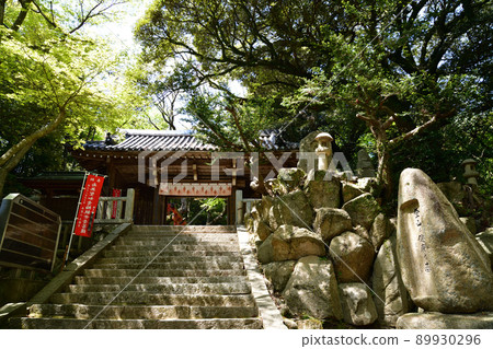 從大龍寺 89930296