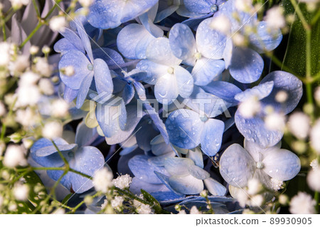 Blue fragile flowers and small white flower in the flower bouquet Blue fragile flowers and small white flower in the flower bouquet 89930905