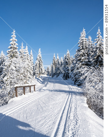 Cross country skiing track on sunny winter day Cross country skiing track on sunny winter day 89931554