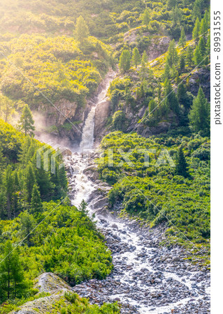 Wild alpine waterfall on mountain stream Wild alpine waterfall on mountain stream 89931555