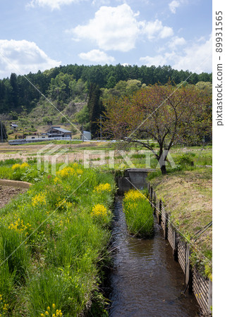 初夏的信濃町古間 初夏的信濃町古間 89931565