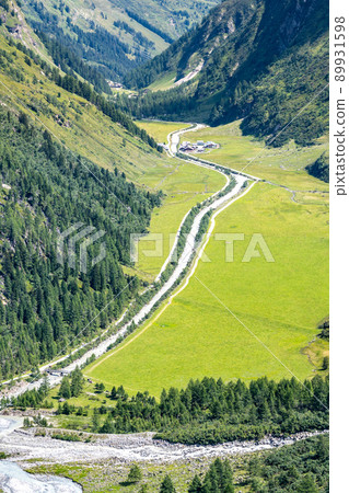 Green meadow in alpine valley, 89931598