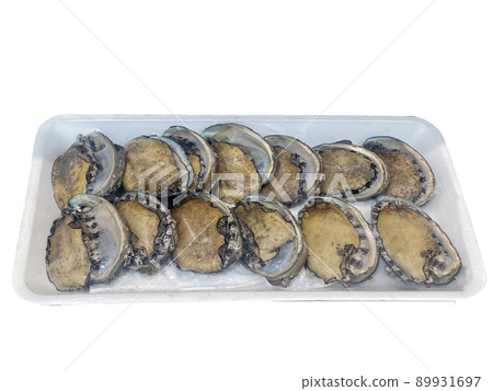 Abalone, Seafood, Nuki 89931697