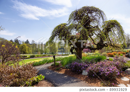 Path in a green vibrant garden with colorful flowers in a modern city park. 89931929