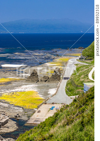 [新潟縣佐渡地質公園]海底火山海底岩石 89932318