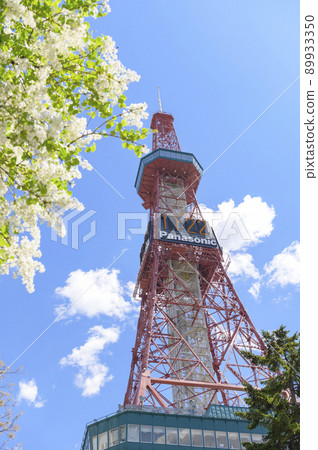 Lilac and TV tower in Sapporo Odori Park 89933350