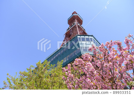 Spring Sapporo TV Tower (empty back) 89933351