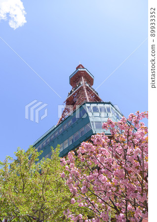 Spring Sapporo TV Tower (empty back) Spring Sapporo TV Tower (empty back) 89933352