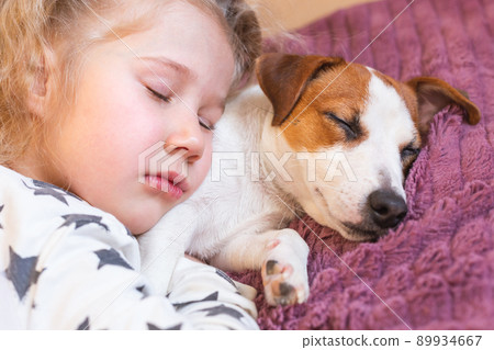 A blonde little girl in pajamas with asterisks and a dog Jack Russell Terrier sleep together in an embrace. The concept of love for pets, friendship, hugs, childhood. Daytime sleep. Day of dogs. A blonde little girl in pajamas with asterisks and a dog Jack Russell Terrier sleep together in an embrace. The concept of love for pets, friendship, hugs, childhood. Daytime sleep. Day of dogs. 89934667