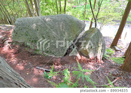 "Kimetsu no Yaiba" -style cracked rock at the foot of the site of Mikumo Castle 89934835