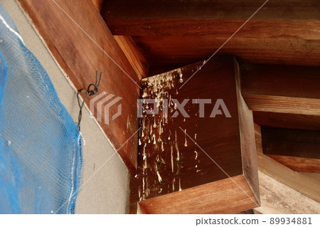 A large amount of bird droppings 89934881