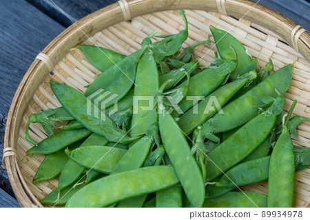 Kinusaya在家庭花園收穫 Kinusaya在家庭花園收穫 89934978