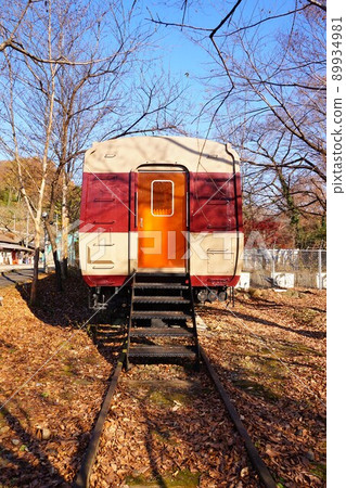 Watarase Valley Railway Train Restaurant Seiryu Kobe Station 89934981