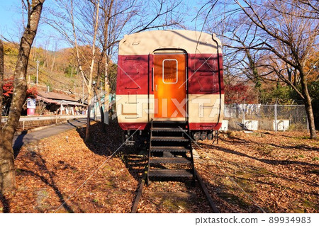 Watarase Valley Railway Train Restaurant Seiryu Kobe Station 89934983