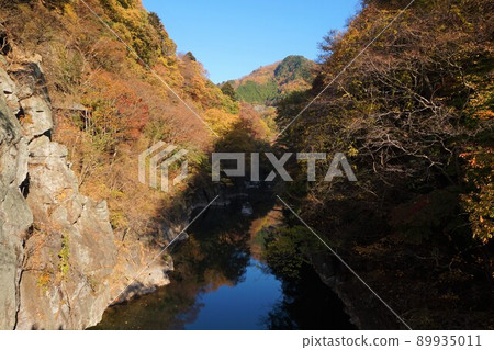 Watarase Valley Watarase River Mannenbashi Watarase Valley鐵路火車餐廳Seiryu神戶站 89935011