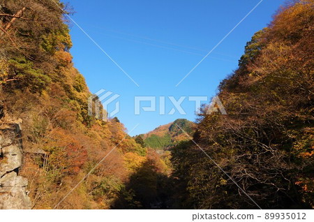 Watarase Valley Watarase River Mannenbashi Watarase Valley鐵路火車餐廳Seiryu神戶站 89935012