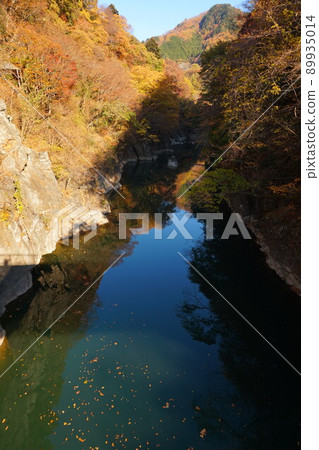 Watarase Valley Watarase River Mannenbashi Watarase Valley Railway Train Restaurant Seiryu Kobe Station 89935014