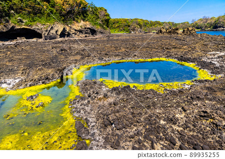 [Sado Geopark, Niigata Prefecture] Shukunegi, a coastline made of submarine volcanoes 89935255