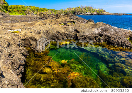 [Sado Geopark, Niigata Prefecture] Shukunegi, a coastline made of submarine volcanoes 89935260
