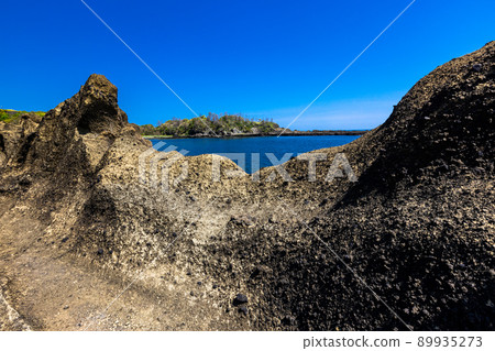 [新潟縣佐渡地質公園] 由海底火山構成的海岸線 宿根木 89935273