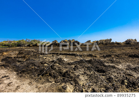[Sado Geopark, Niigata Prefecture] Shukunegi, a coastline made of submarine volcanoes 89935275