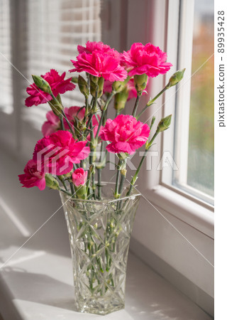 bunch of pink carnation flowers in vase on windowsill 89935428