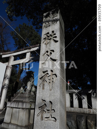Chichibu Shrine 89935709