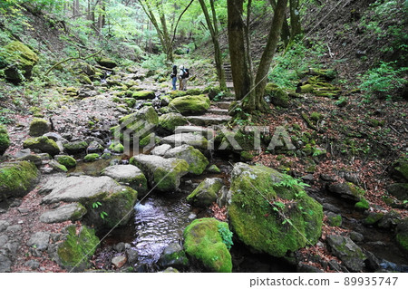 May Ome 218 Fresh green, moss and running water, Mt. Mitake May Ome 218 Fresh green, moss and running water, Mt. Mitake 89935747